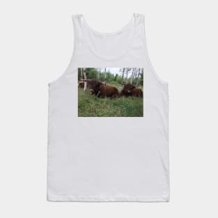 Scottish Highland Cattle Bulls 1463 Tank Top